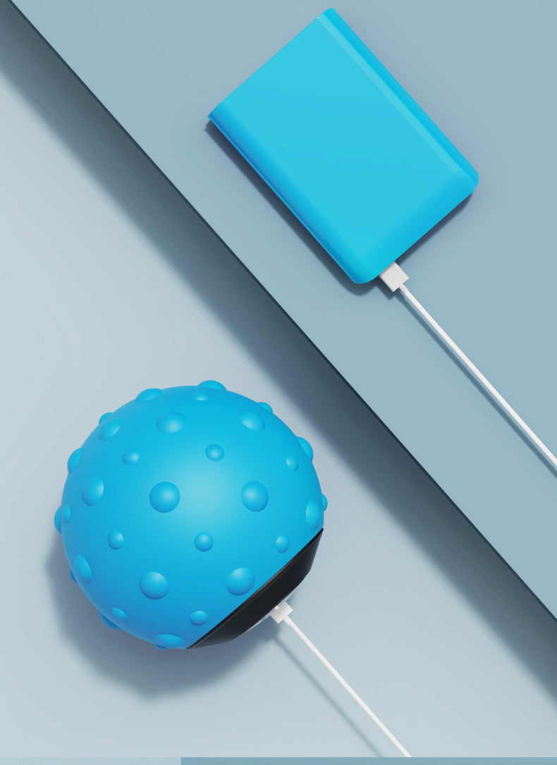 Portable Vibrating Massage Roller