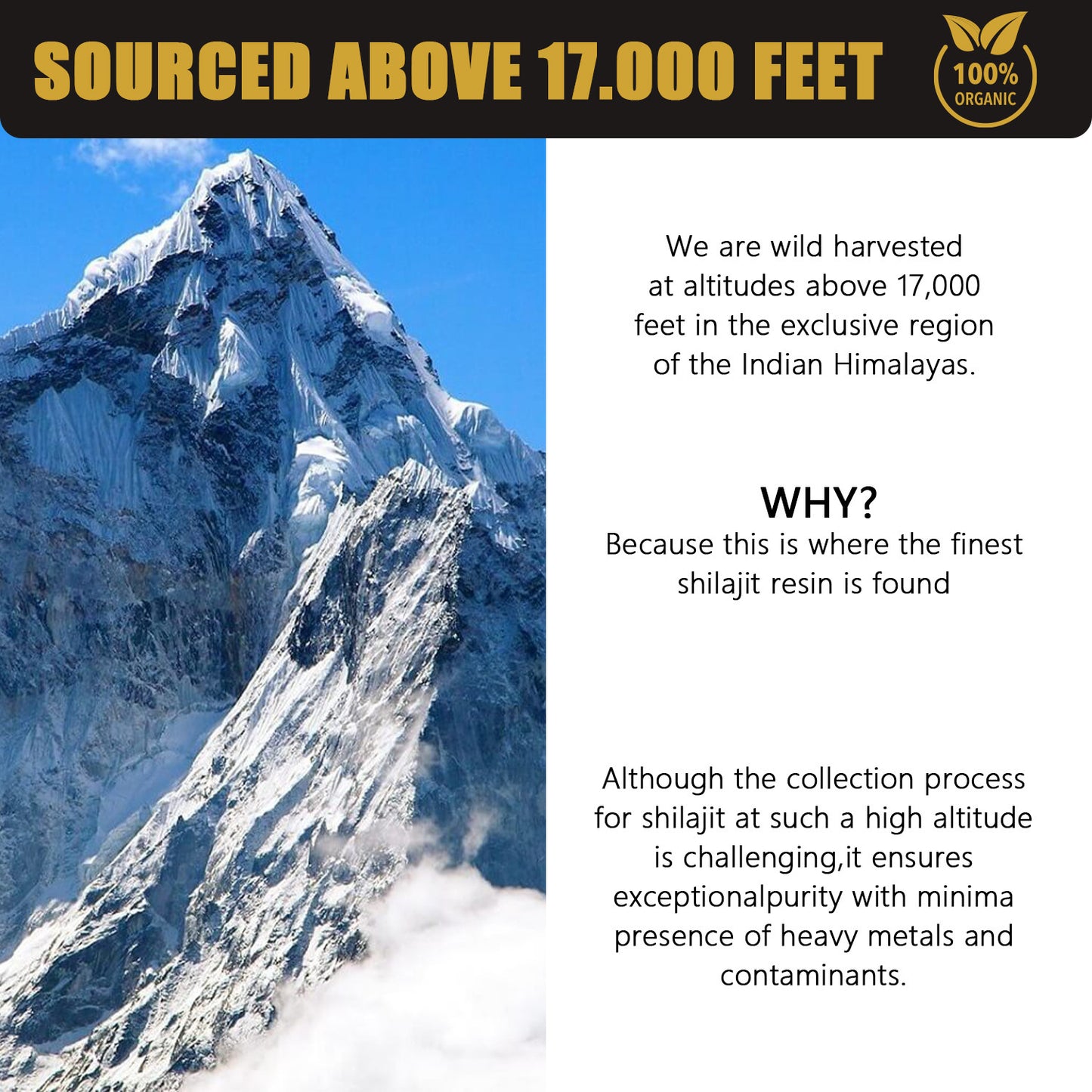 The Ancient Secret To Health: Pure Shilajit Resin